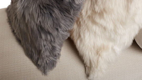 Statement Pieces: Decorative Pillows